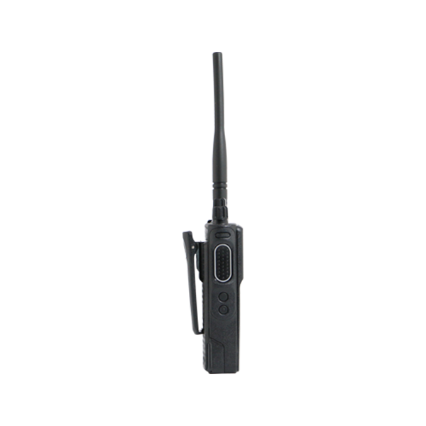 DGP5550E-3